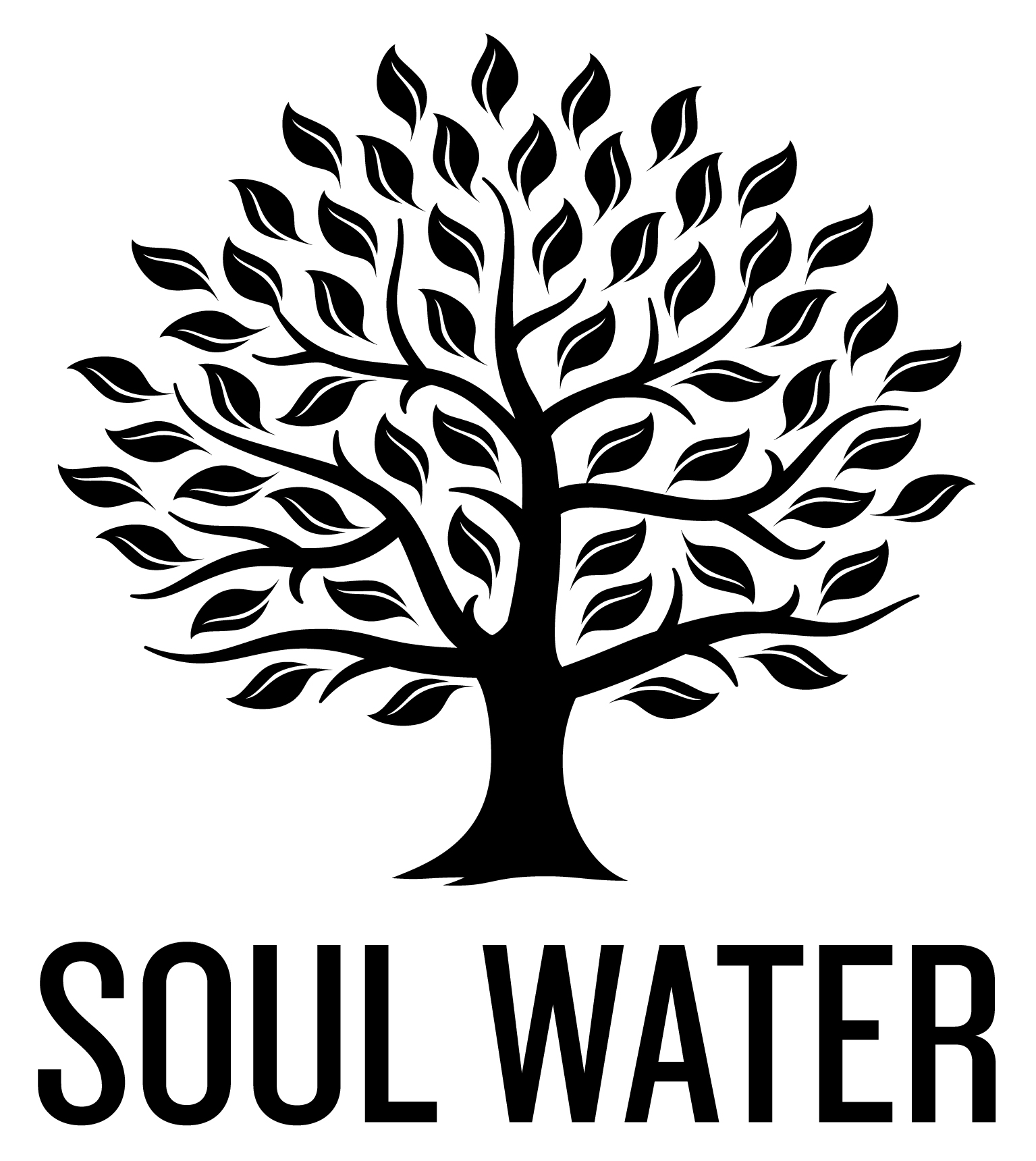 Soul water