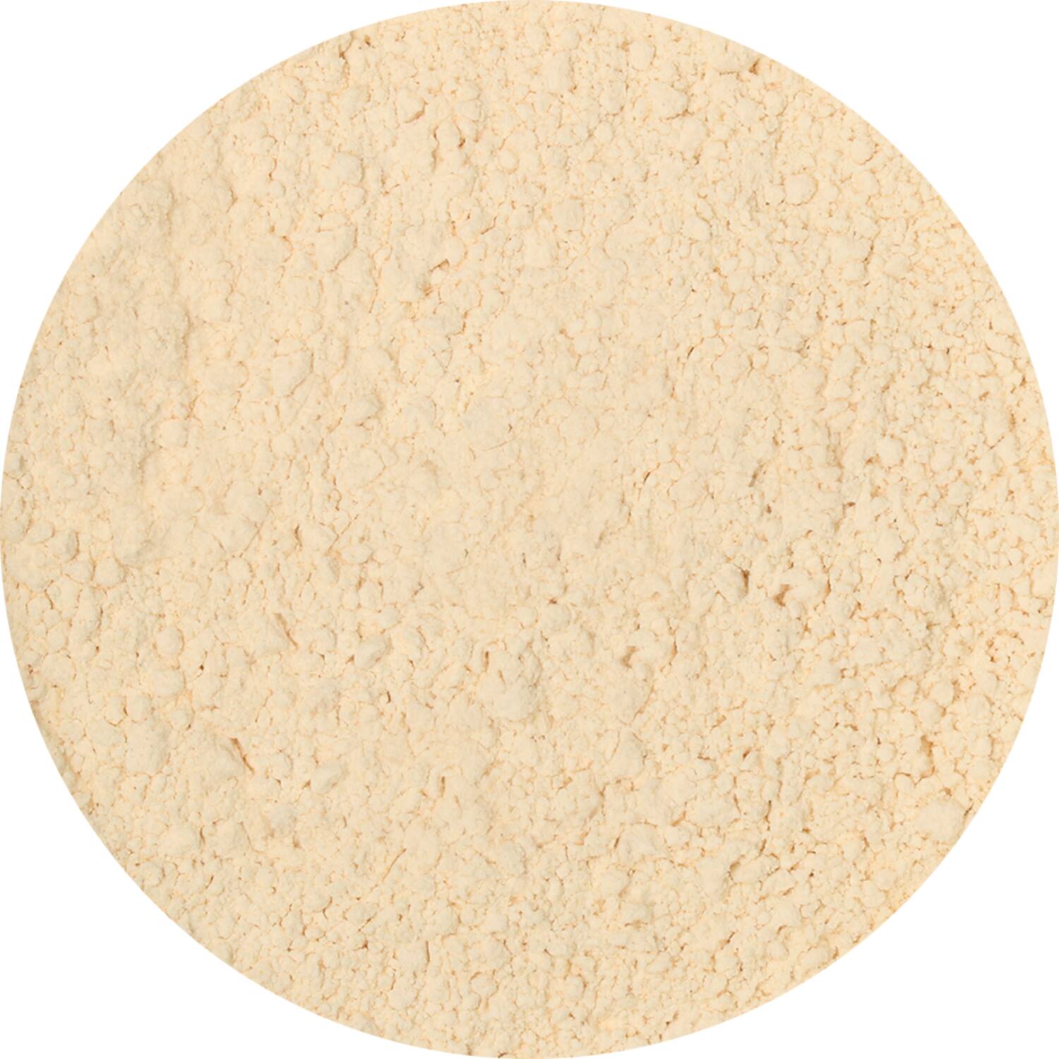 Dutch Spices garlic powder 1,5kg emmer