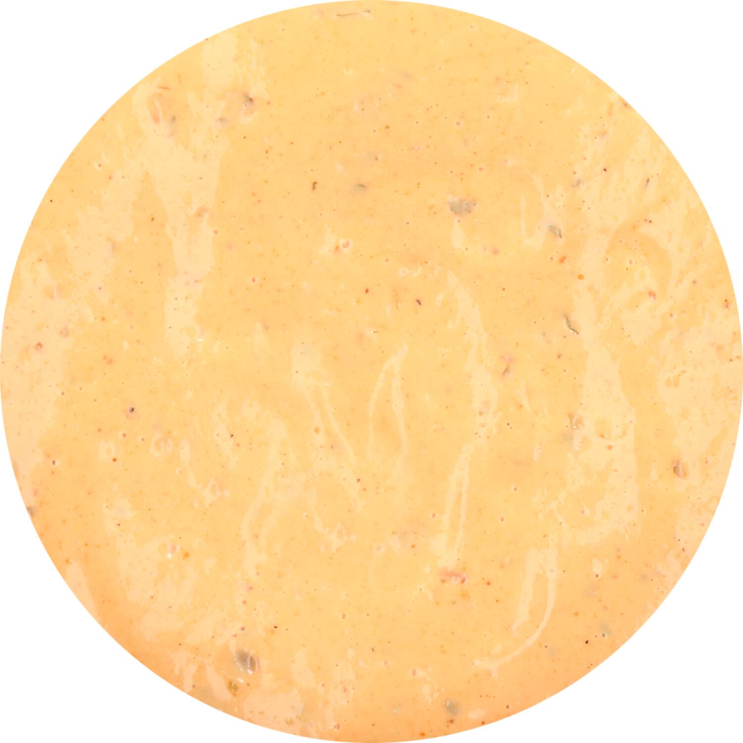 Epos roompasteisaus Vlaamse stijl 2,5kg