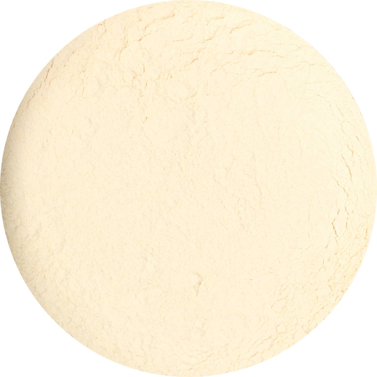 Dutch Spices onion powder 1,5kg