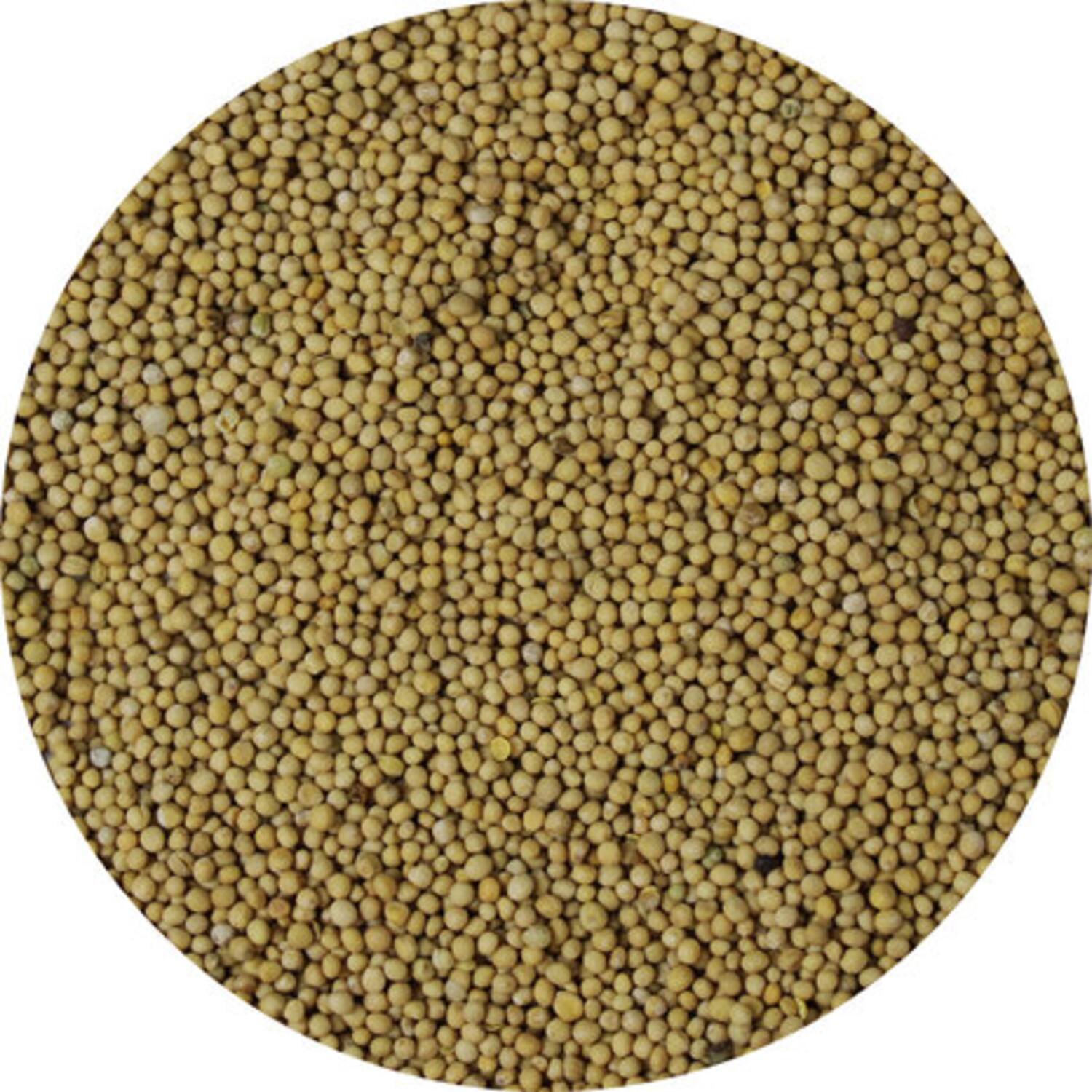 Van Beekum mosterdzaad geel heel 700g