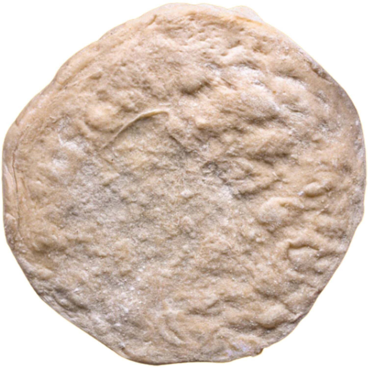 DEEG pizzabodem zuurdesem 30cm 20x250g