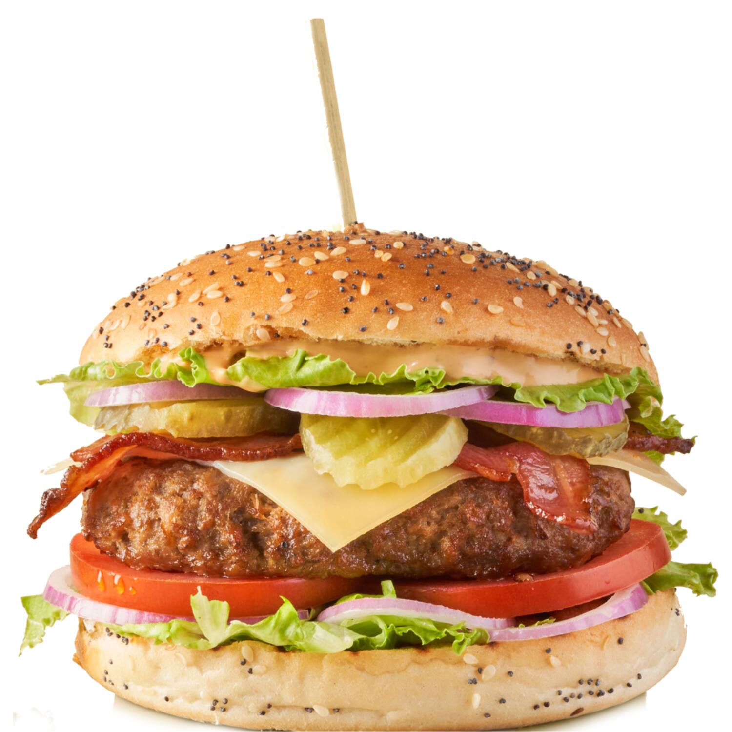 Beefygreen rundvlees-oesterzwamburgers 20x125g