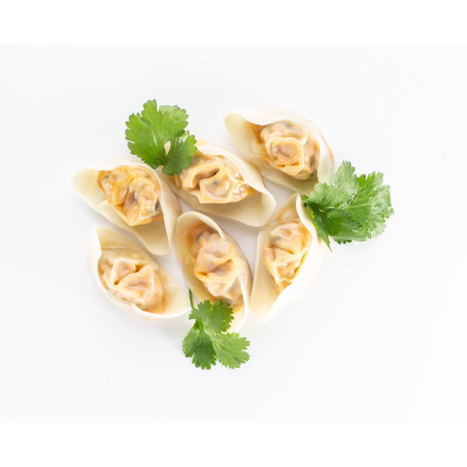 Asian Table gyoza mandu pittige kip 12x240g