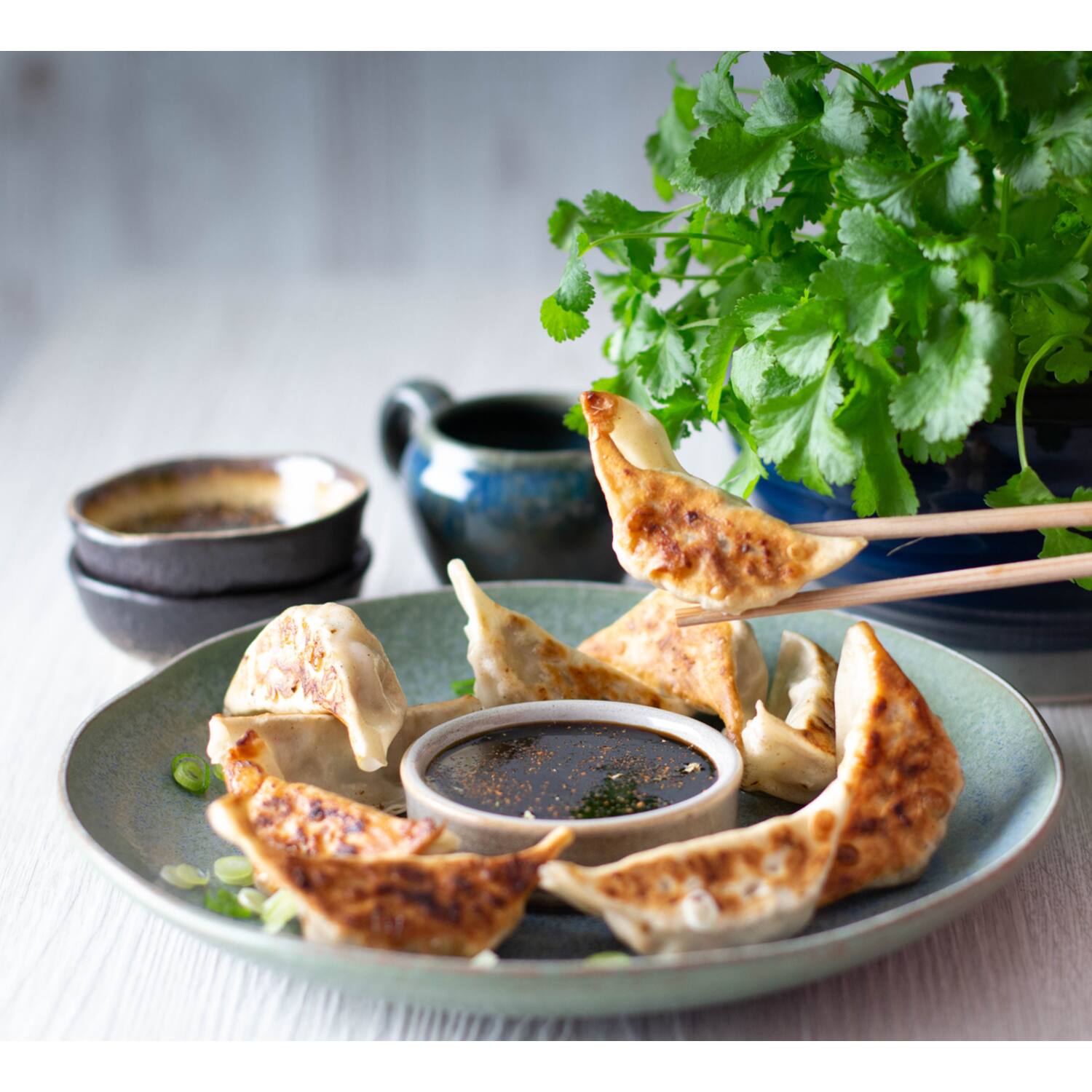 Asian Table gyoza kip 12x240g
