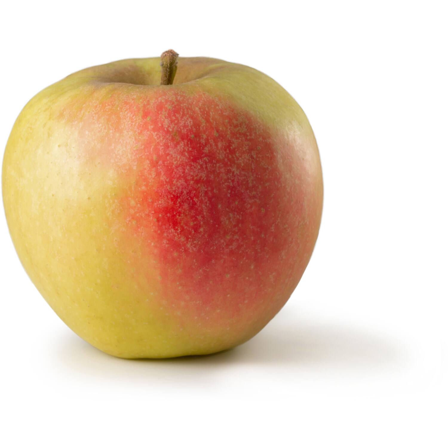 Smink appels elstar 1kg