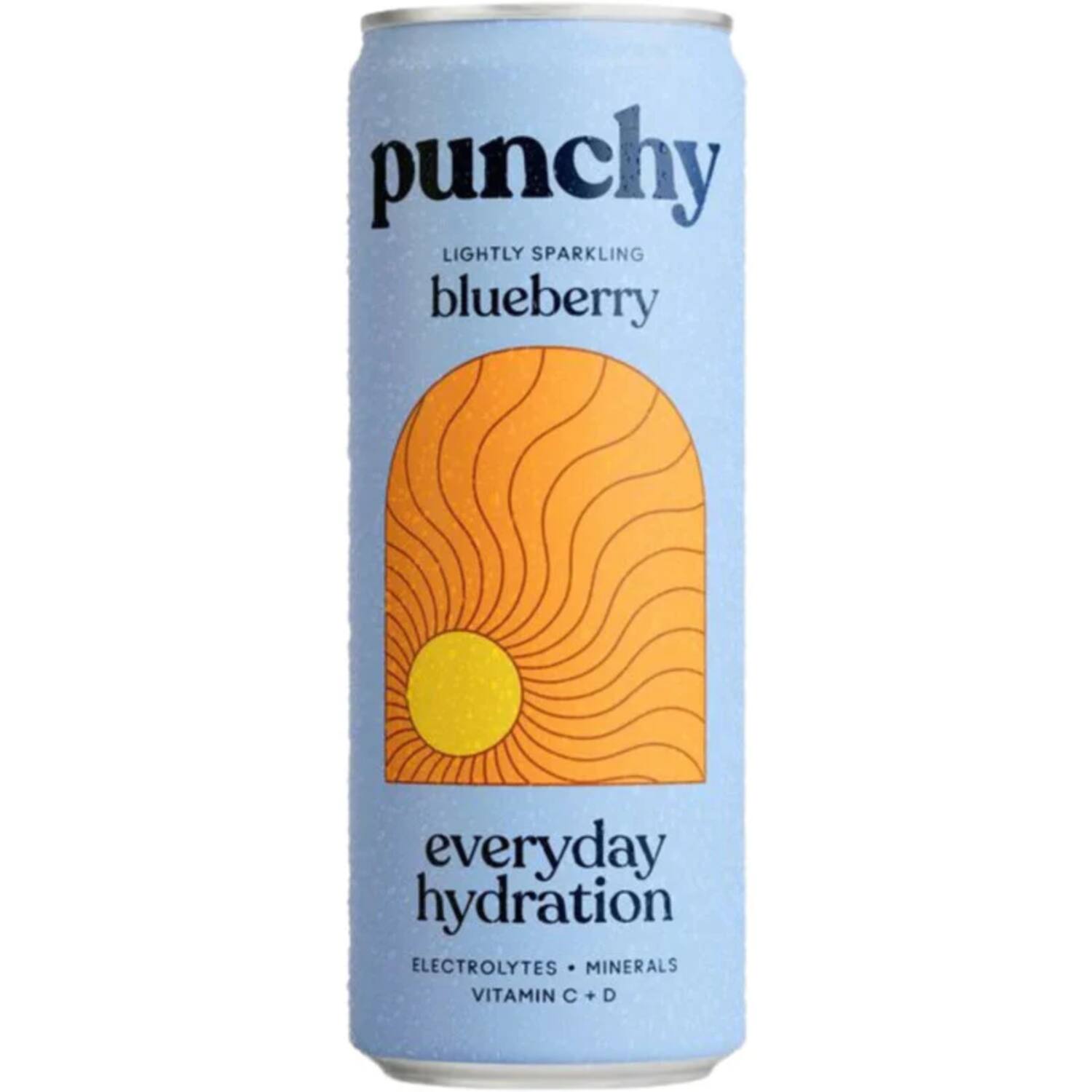 Punchy blueberry hydration 12x330ml
