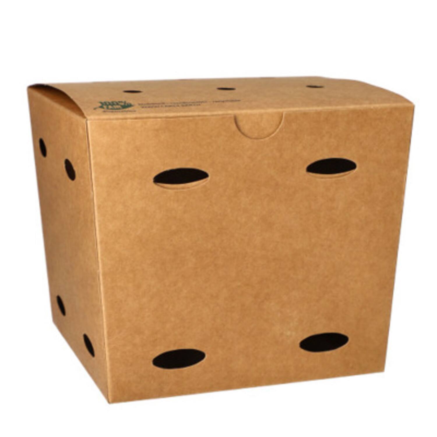 100% Fair frietboxen middel bruin karton 145x145x14mm 5x50st