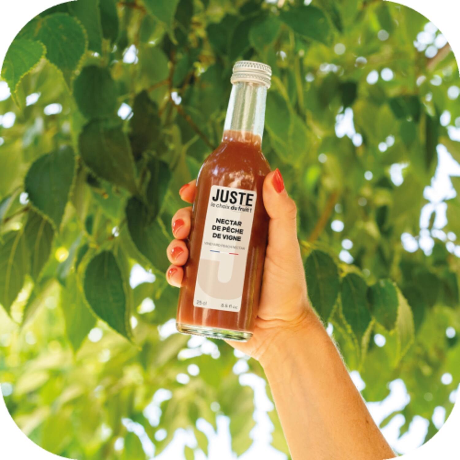 Juste wijngaardperziken nectar 12x250ml