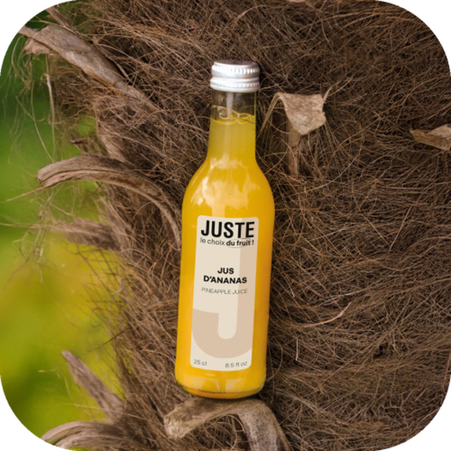 Juste ananassap 12x250ml