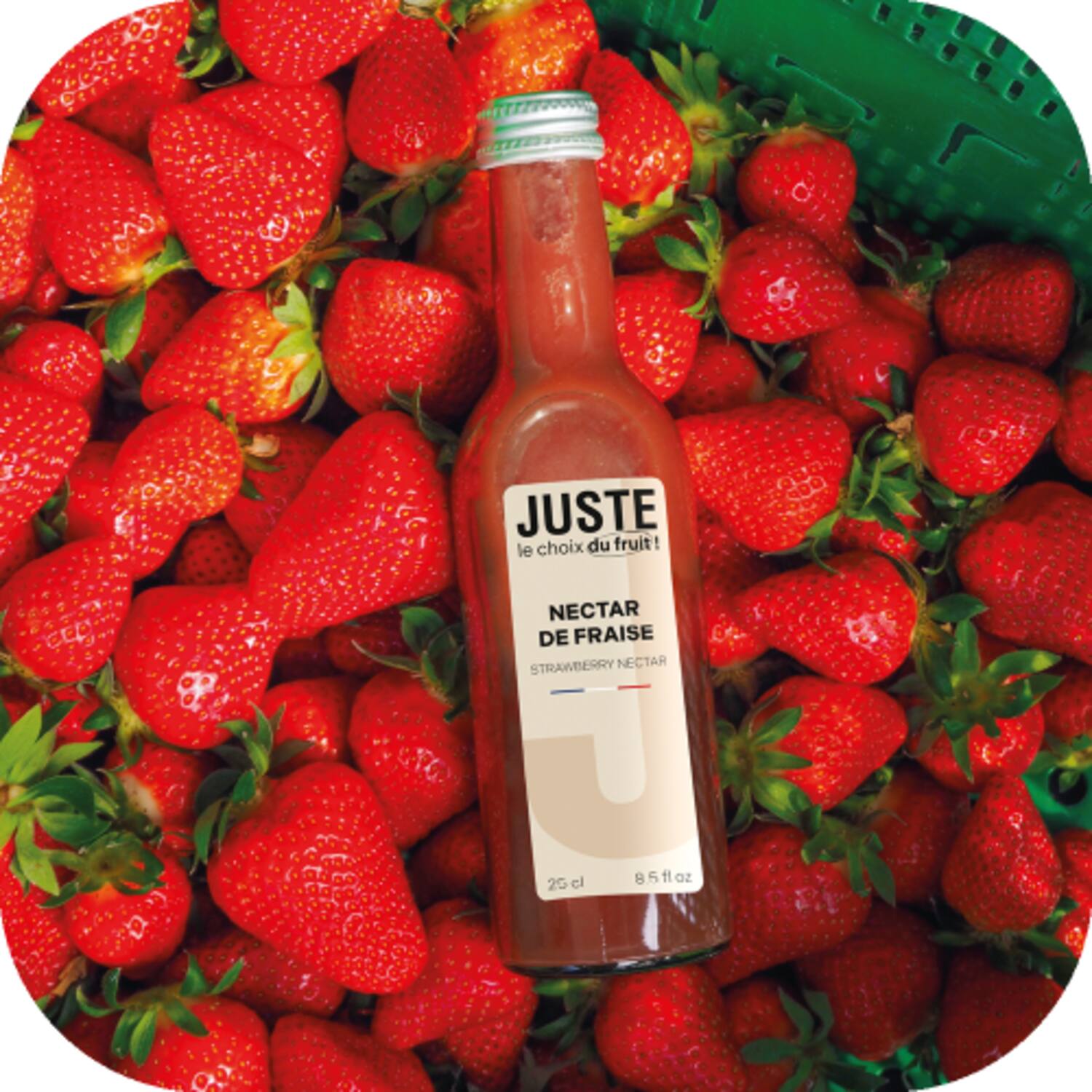 Juste aardbei nectar 12x250ml