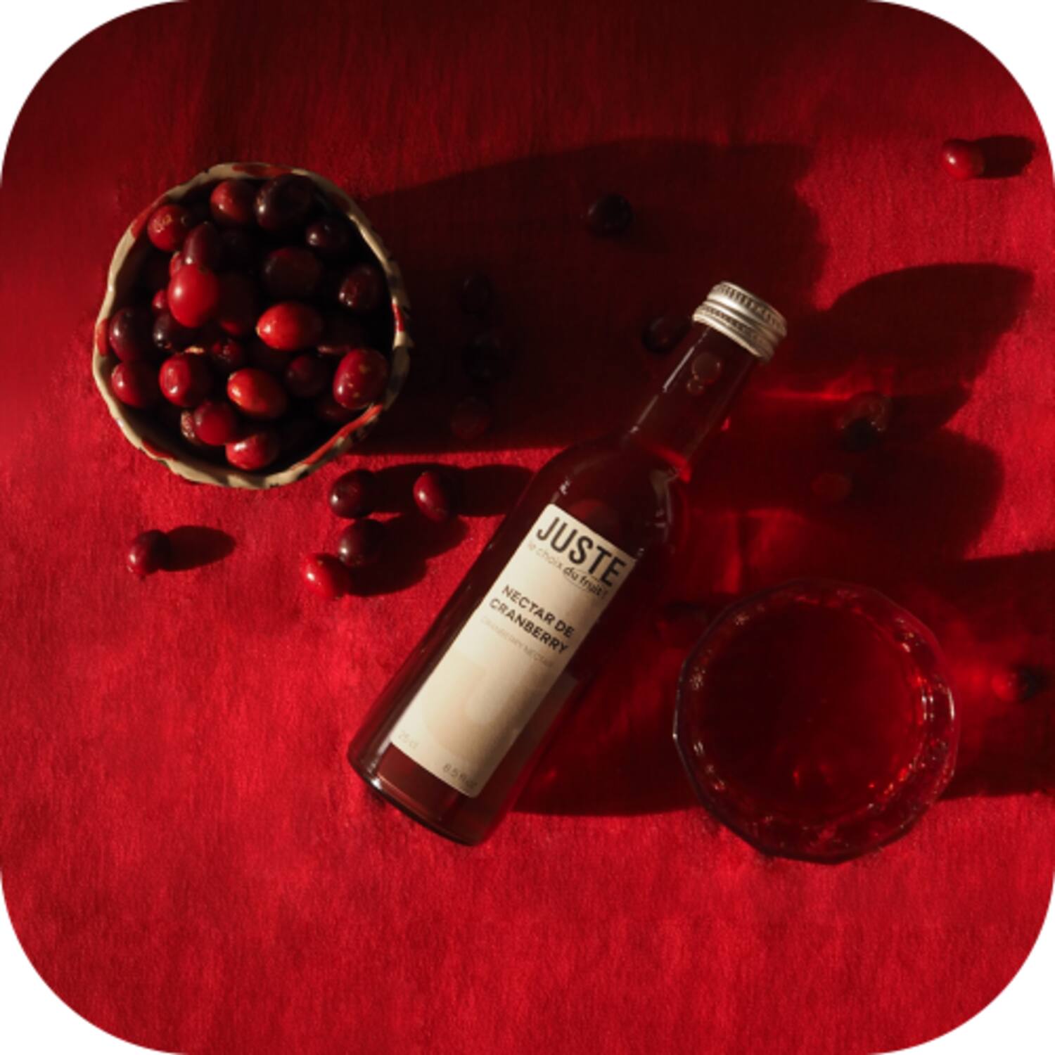 Juste nectar cranberry 12x250ml