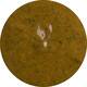 BISTRO MARINADE SMAAK CURRY-LIME 2.5 LTR