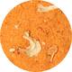 Dutch Spices best stroganoff mix 3kg