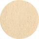 Dutch Spices garlic powder 1,5kg