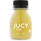 Jucy powershot gember-citroen 12x60ml