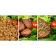 Eat Hybrids HyMIX BOX assortimentsdoos 2,05kg