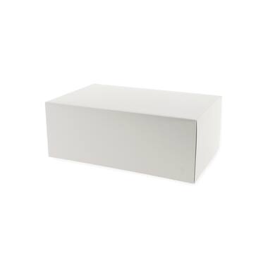 Premium Quality gebaksdozen 26x20x8cm 225st