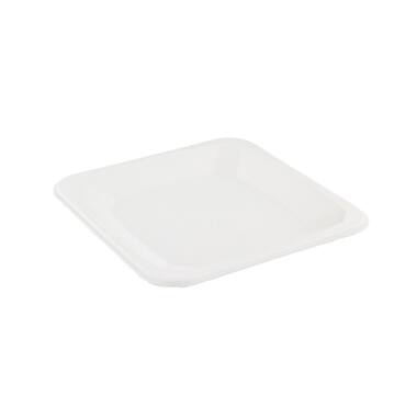 Premium Quality borden vierkant suikerriet 17x17cm 20x50st