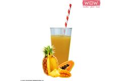 WOW fruitsmoothie papaja-mango-ananas 33x150g