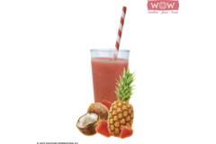 WOW fruitsmoothie ananas-aardbei-kokos 33x150g