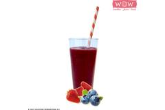 WOW fruitsmoothie bosbes-aardbei 33x150g