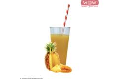 WOW fruitsmoothie ananas-mango 33x150g