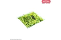 WOW groentesmoothie avocado-munt-peer-kiwi-appel 33x150g