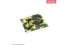 WOW groentesmoothie spinazie-avocado-appel-tarwegras 33x150g