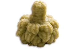 Dysphalicious broccoli 20x50g
