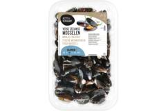 Vette & Verhaart verse Zeeuwse mosselen super 6x2kg
