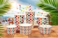 Premium Quality ijsbakjes 225ml Retro Ø9,2x6cm 20x50st