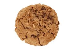 Van Strien koekjesdeeg cranberry-haver 48x90g