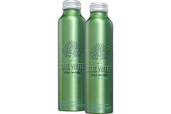 Soul Water water 12x500ml