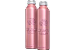 Soul Water water bruisend 12x500ml