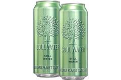 Soul Water water 24x500ml