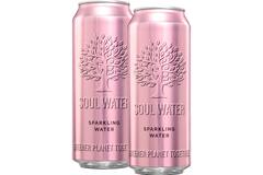 Soul Water water bruisend 12x500ml