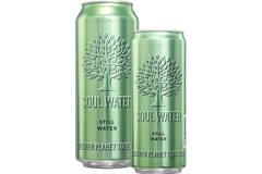 Soul Water water 24x330ml