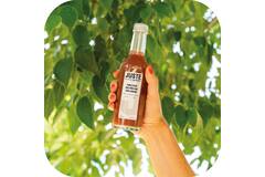 Juste wijngaardperziken nectar 12x250ml
